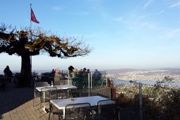 Bergklub: Felsenegg (789 m.ü.M.)