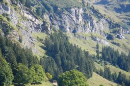 Bergklub: Griesalp (1490 m.ü.M.)