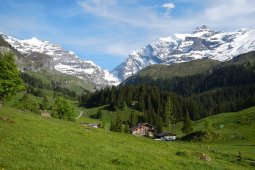 Bergklub: Griesalp (1490 m.ü.M.)
