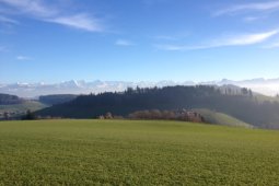 Bergklub: Ulmizberg (937 m.ü.M.)