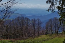 Bergklub: Hinteri Egg (1169 m.ü.M.)